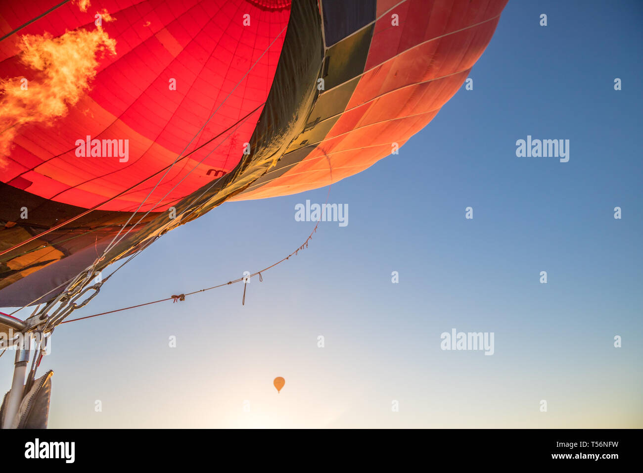Giro in Mongolfiera in Luxor Egitto Foto Stock