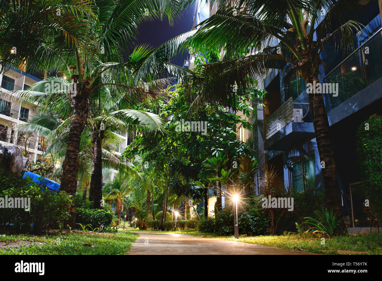 Illuminati alberi di palma e il passaggio tra gli edifici di notte. Foto Stock