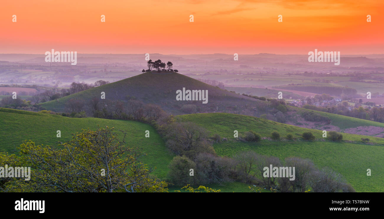 Bridport, Dorset, Regno Unito. Il 22 aprile 2019. Regno Unito Meteo. Il cielo diventa arancione brillante all'alba sopra Colmers collina vicino a Bridport nel Dorset il lunedì di Pasqua. Credito Foto: Graham Hunt/Alamy Live News Foto Stock