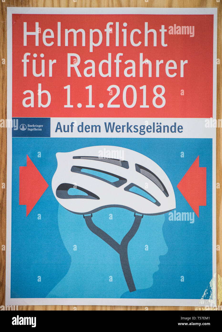 Ingelheim, Germania. Xvii Apr, 2019. Un poster ricorda che i ciclisti sono tenuti ad indossare il casco in testa la Boehringer Ingelheim sito. Credito: Andreas Arnold/dpa/Alamy Live News Foto Stock
