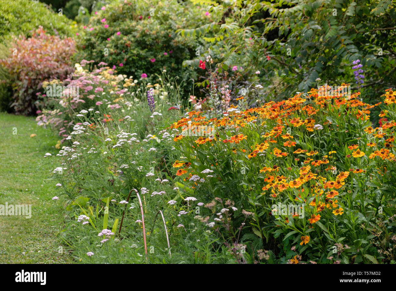 Hollard giardini, Kaponga vicino a Stratford e a Mount Taranaki , Nuova Zelanda Foto Stock