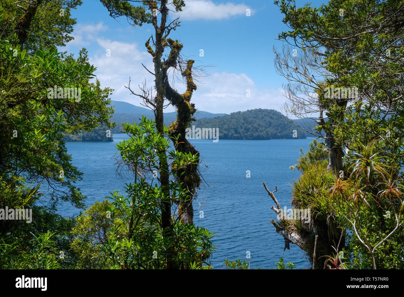 Lago Waikareiti per Te Urewera, Hawkes Bay Regione, Isola del nord, Nuova Zelanda Foto Stock