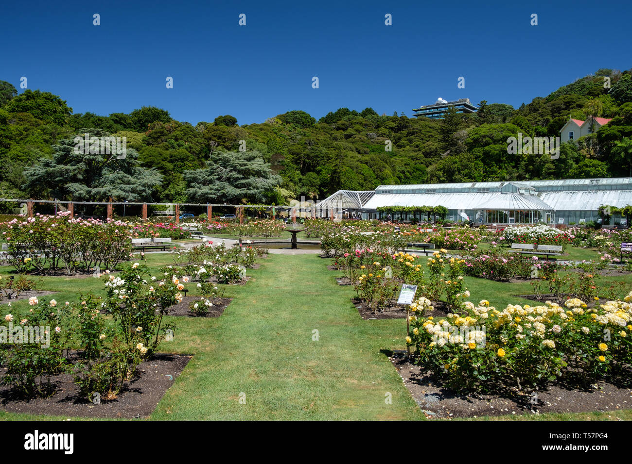 Wellington Botanic Gardens, Wellington, Isola del nord, Nuova Zelanda Foto Stock