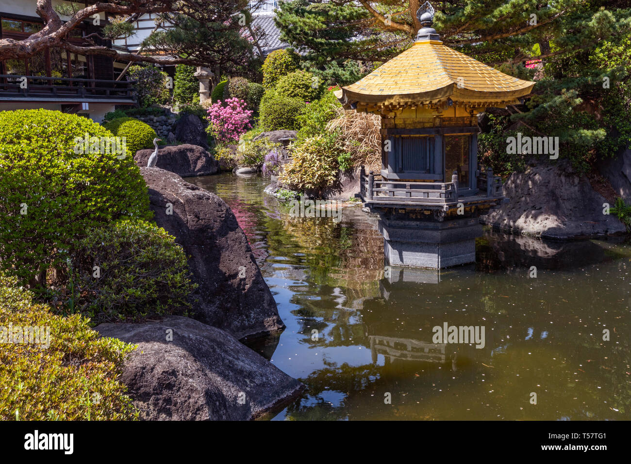 Tempio Jorenji è una setta Jodo tempio in Akatsuka ,Itabashi, Tokyo noto per il suo Tokyo Big Buddha di solito denominato Akatsuka Daibutsu o Tokyo Bi Foto Stock