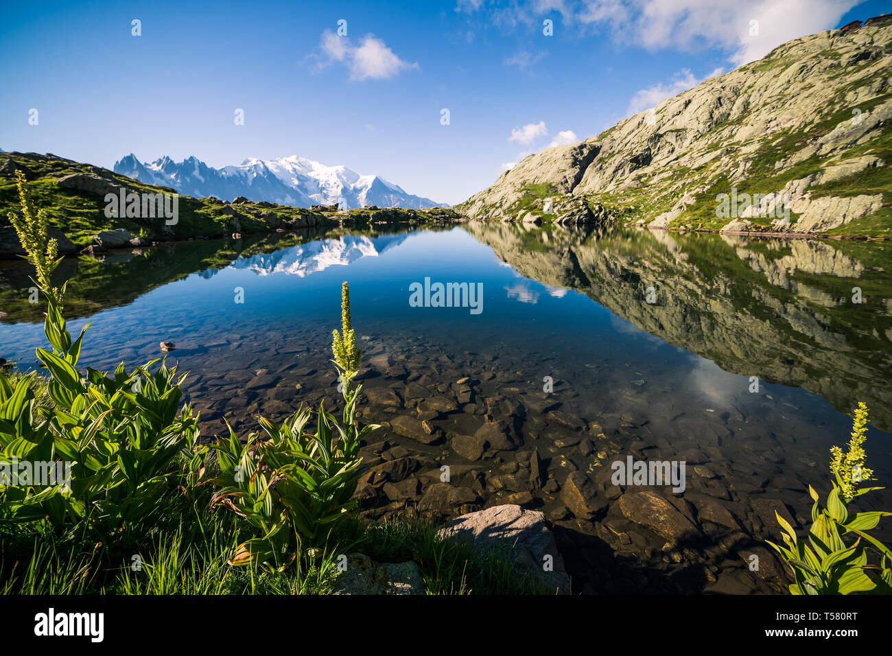 Lago di montagna (Lac de Chéserys) riflettendo iconico Mont-Blanc vette innevate in una giornata di sole Foto Stock