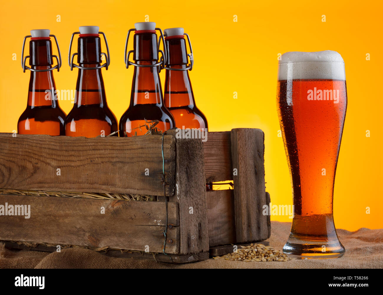 Bicchiere di birra con bottiglie in cassa e orzo still life Foto Stock