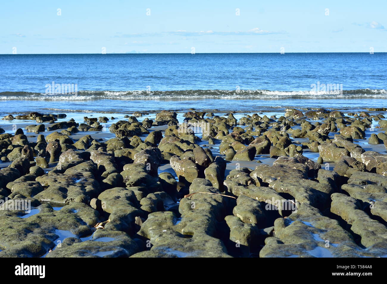 Ripiano erosa di soft rock con bordi arrotondati su Ocean Shore. Foto Stock