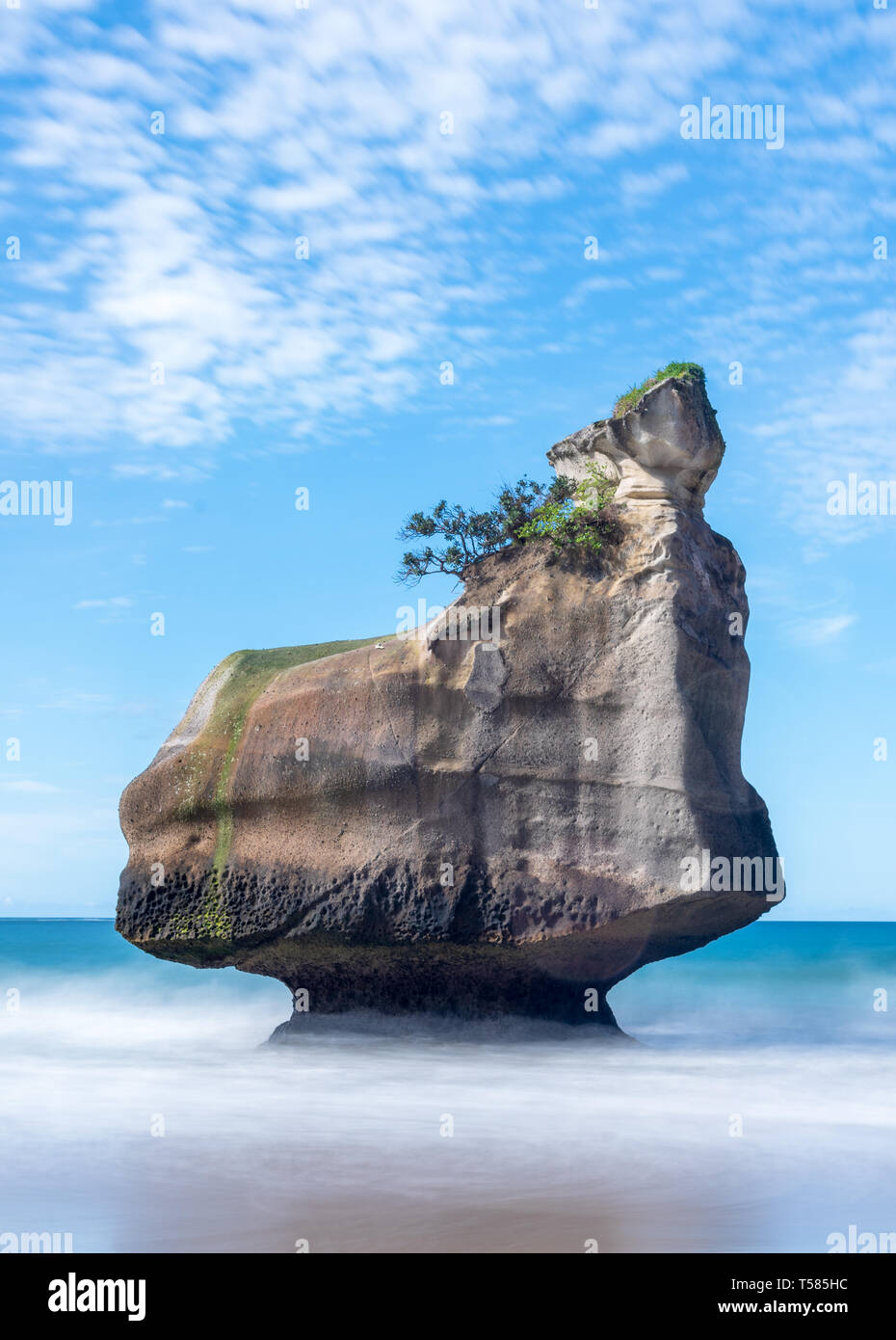 Te HOHO Rock, Cathedral Cove, vicino a Whitianga sulla penisola di Coromandel, North Island, nuova Zelanda. Si tratta di una delle principali attrazioni turistiche della zona. Foto Stock