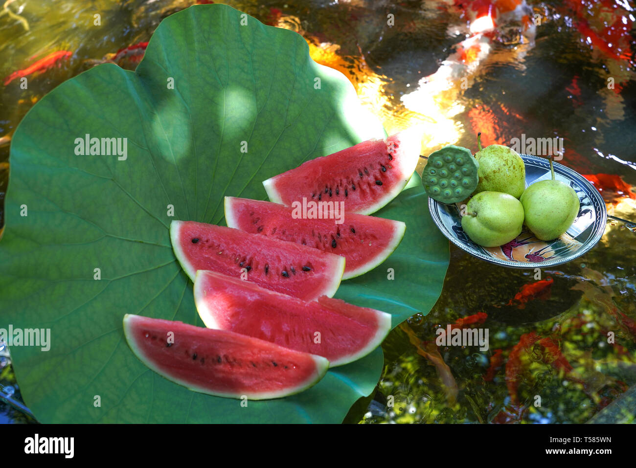 L'acqua di stagno melone Foto Stock