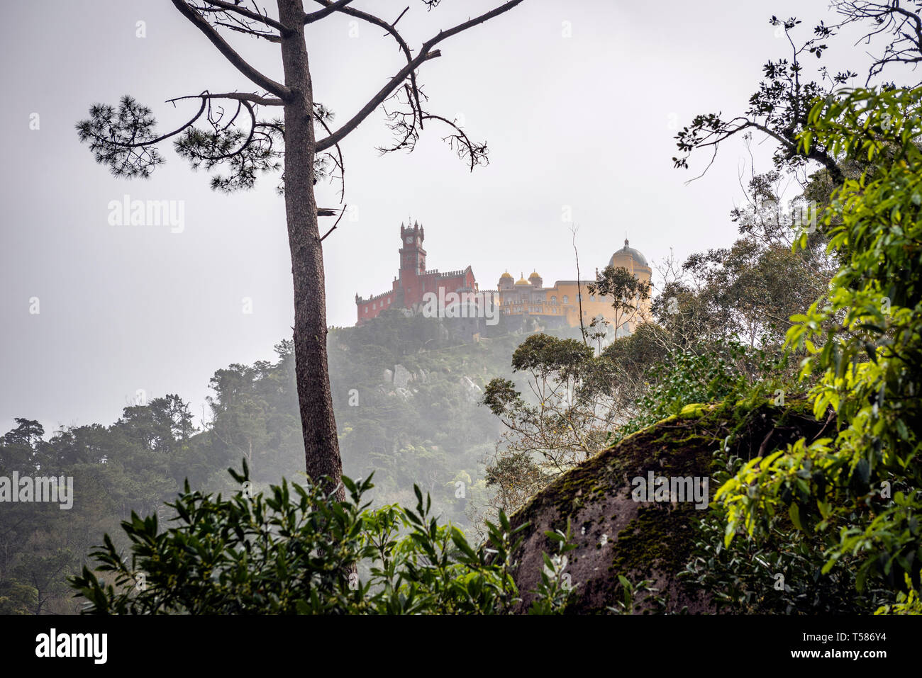 Il Palazzo Pena visto dal sentiero attraverso il bosco della città di Sintra, Portogallo Foto Stock