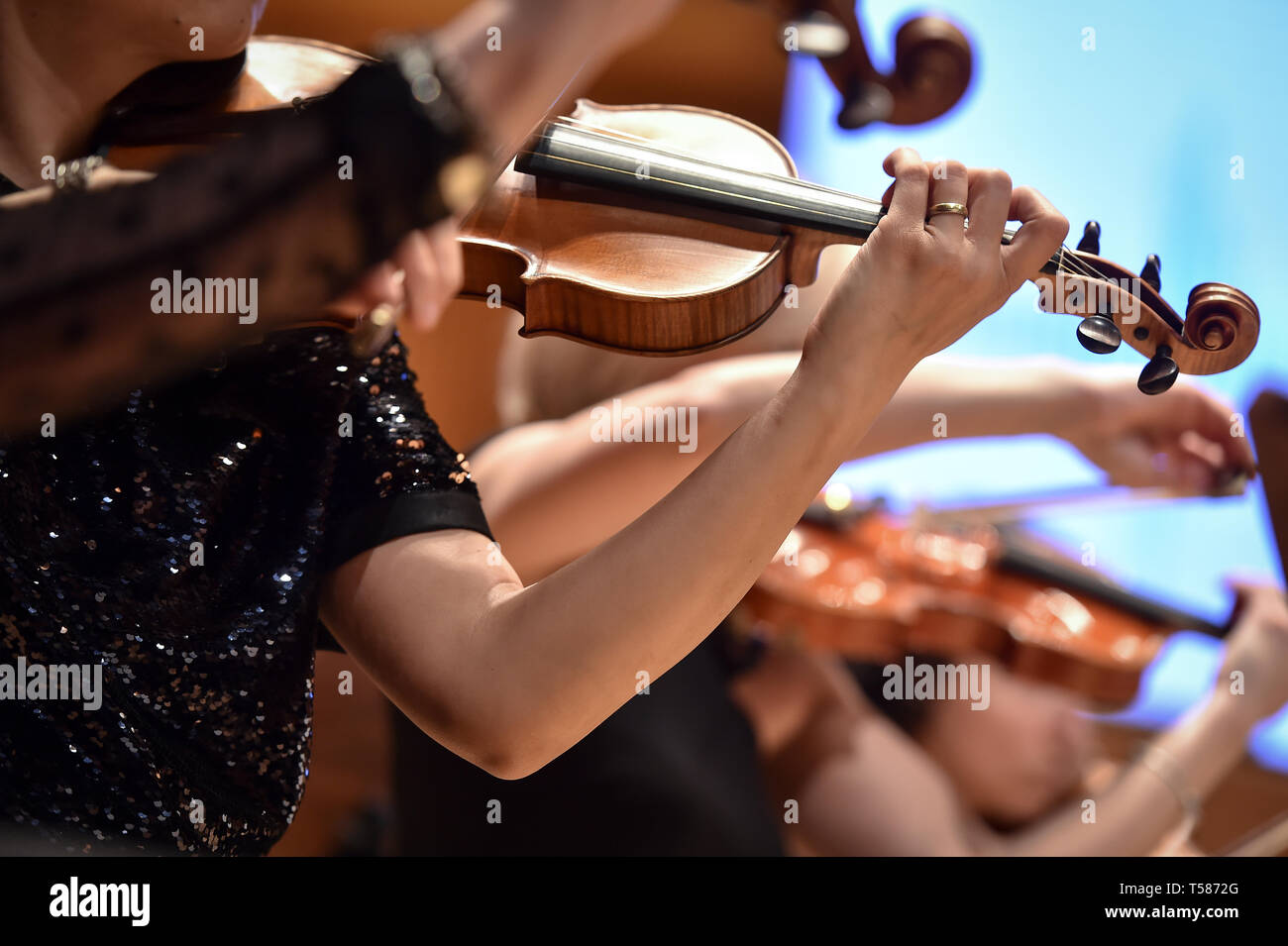 I suonatori di violino canto dettaglio durante l orchestra filarmonica di prestazioni Foto Stock