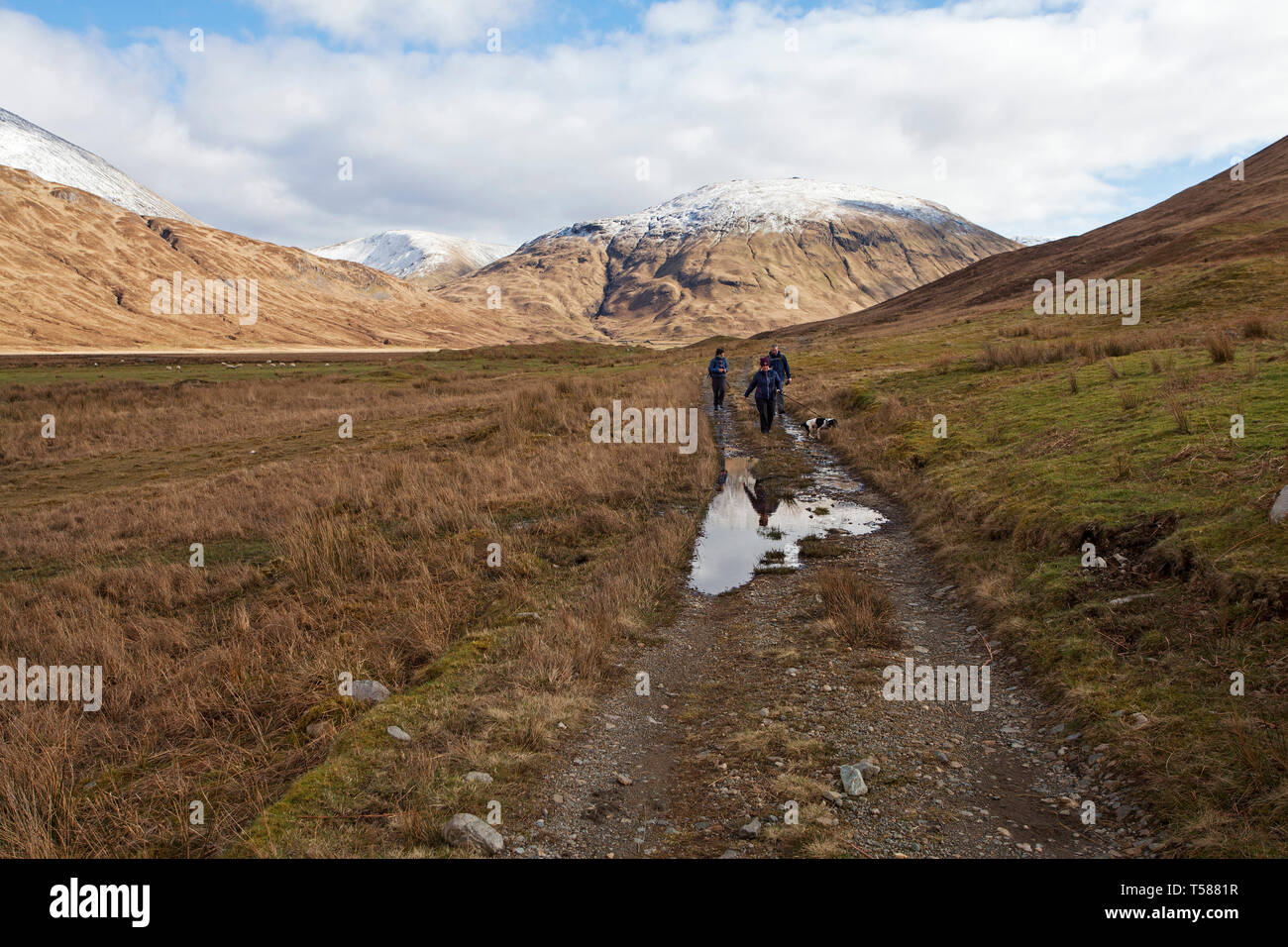 Gli scuotipaglia e il cane su un sentiero in Glen Cammel vicino al Loch Ba con le montagne del Beinn Bheag Beinn Talaidh e Beinn Chaisgidle oltre Isle of Mull Inn Foto Stock