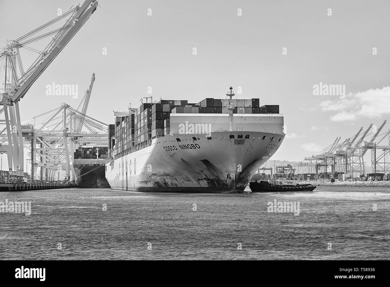 Foto in bianco e nero della COSCO Shipping, contenitore di nave, COSCO Ningbo, essendo guidato in banchina J270 da rimorchiatori a Long Beach Container Terminal. Foto Stock