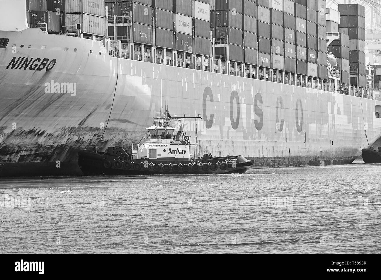 La foto in bianco e nero della nave container COSCO Ningbo è guidata all'ormeggio J270 dall'AmNav Tractor Tug Independence presso il terminal container di Long Beach Foto Stock