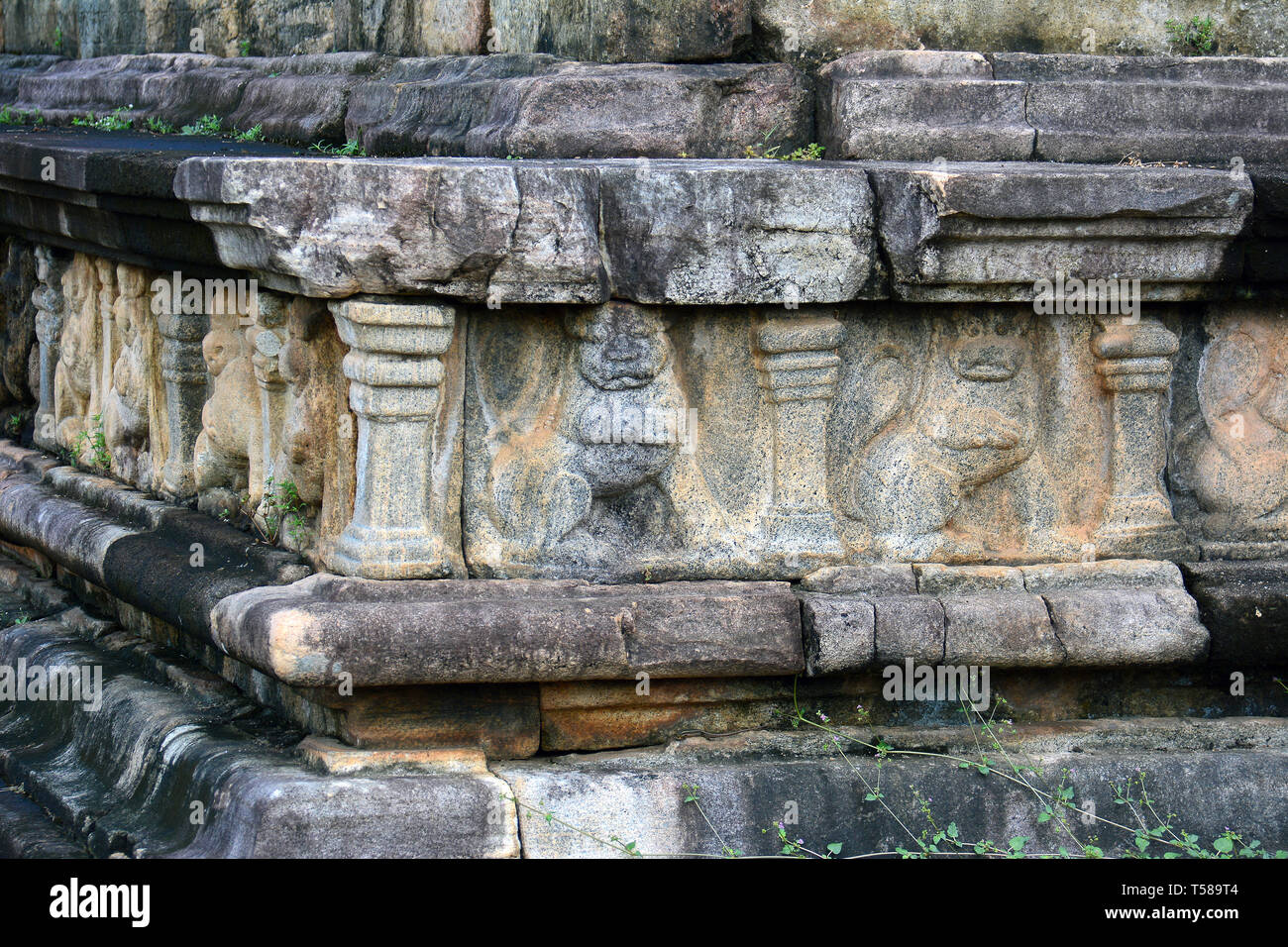 Hatadage, Polonnaruva, Sri Lanka. Foto Stock