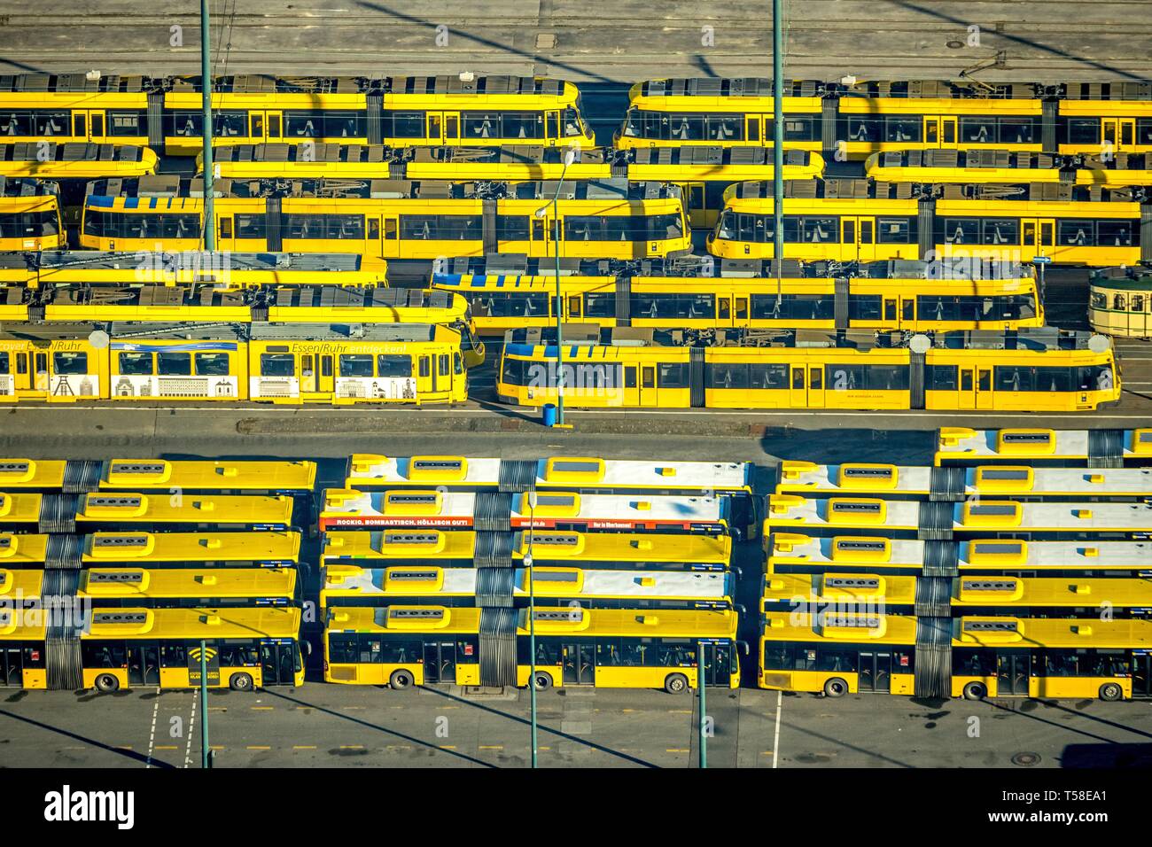 Vista aerea, deposito di tram e autobus, Essener Verkehrs AG, EVAG, dei veicoli parcheggiati in righe, giallo i tram, gli autobus gialli, Essen, Renania settentrionale-Vestfalia Foto Stock