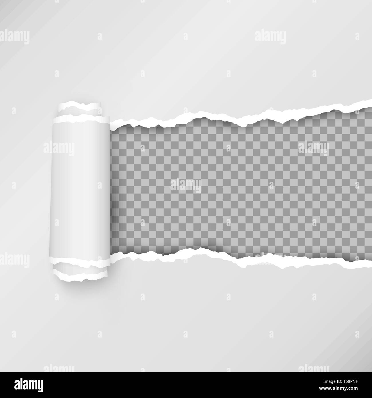 Progettazione di carta strappata striscia. Strappo della carta con spazio per il testo. Illustrazione Vettoriale Illustrazione Vettoriale