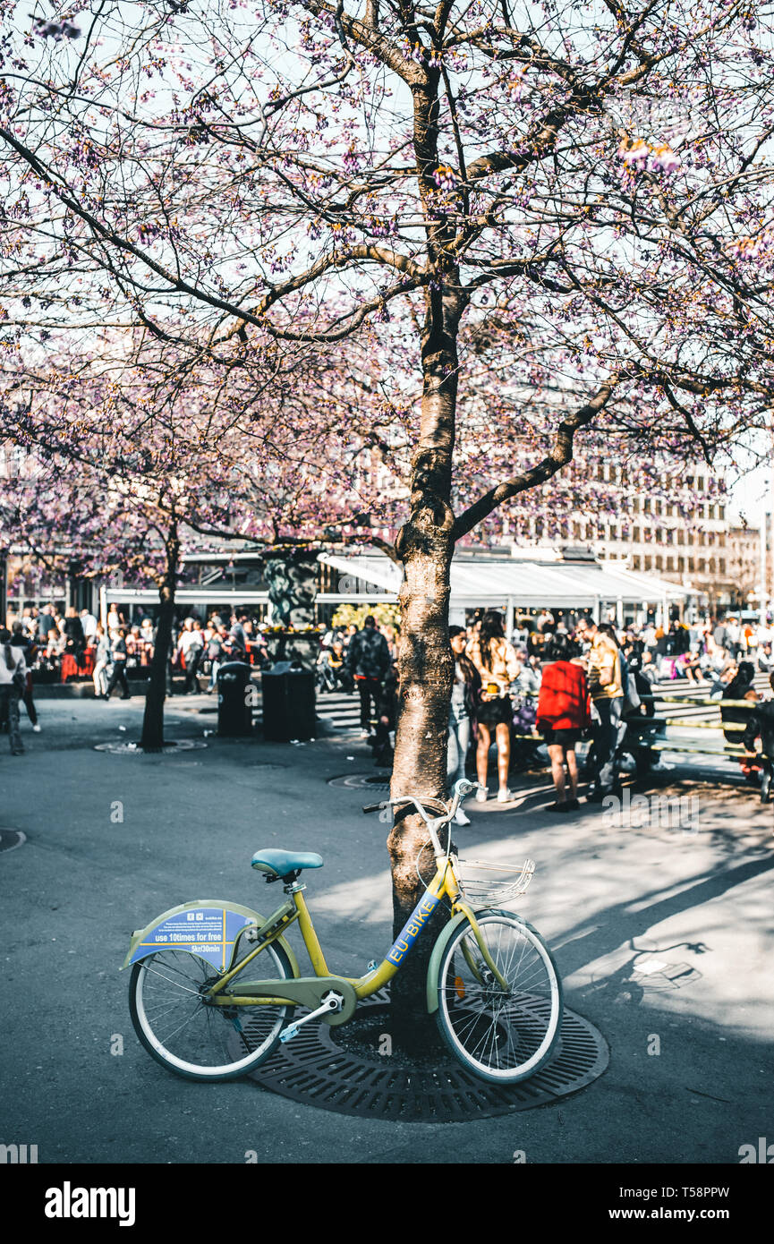 Un'Unione europea bike a Kungsträdgården, Stoccolma, Svezia. Foto Stock