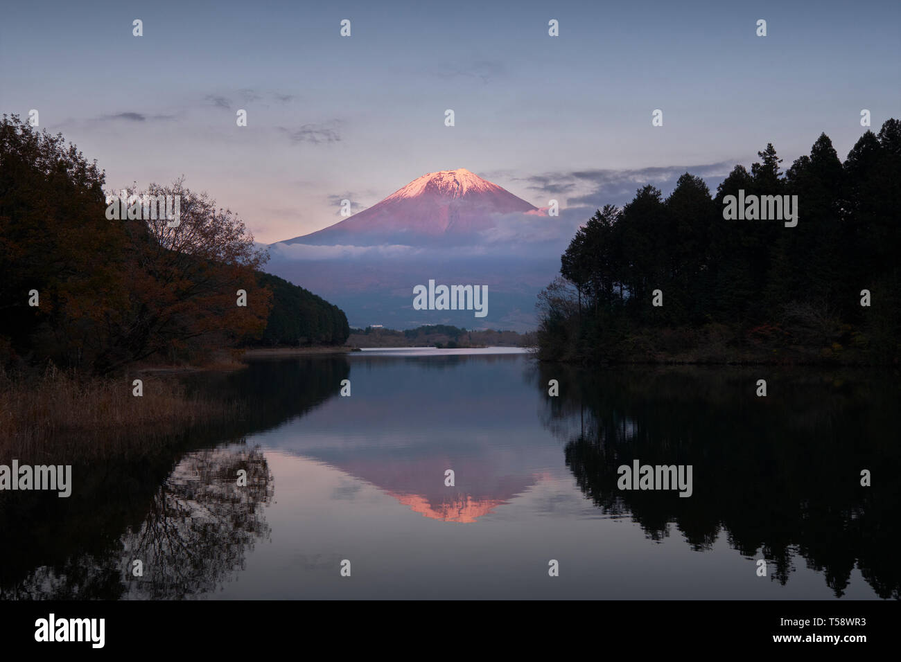 Vista del Monte Fuji al tramonto dal lago Tanuki, Prefettura di Shizuoka Foto Stock