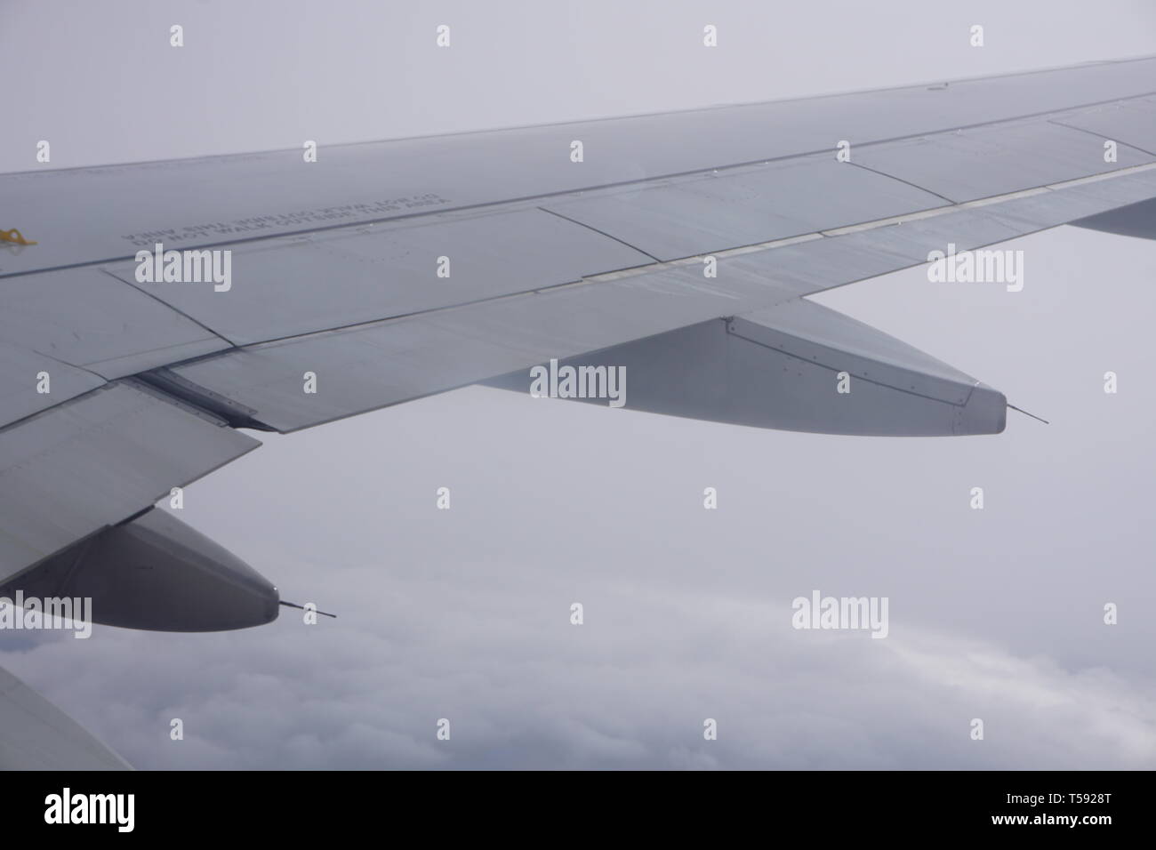 Delta ala di aeroplano dalla finestra di aereo. Foto Stock