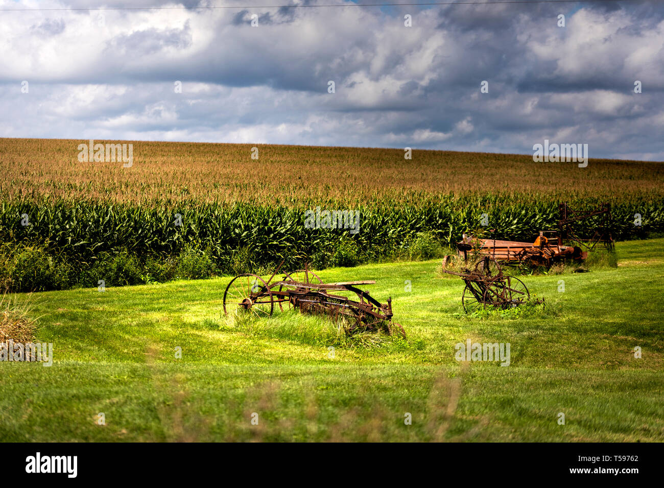 Una piccola collezione di attrezzature agricole antiche si trova tranquillamente accanto a un campo di grano dorato, intemprato dal tempo e dagli elementi. Queste reliquie arrugginite - forse Foto Stock