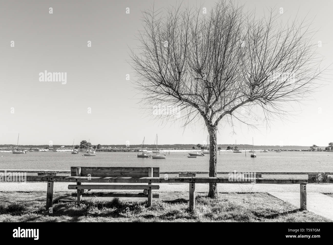 Baia di Arcachon (Francia), Cap Ferret in inverno Foto Stock