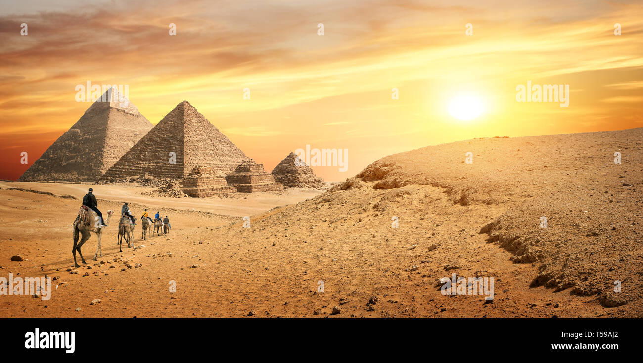 Camel Caravan e le Piramidi di Giza in Egitto Foto Stock