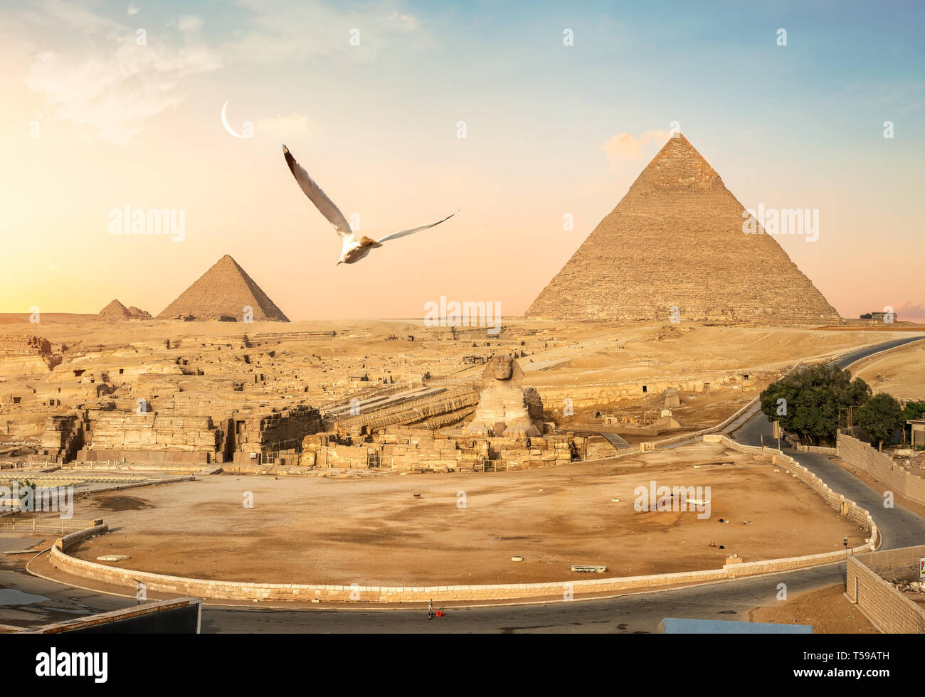Piramidi di Giza e la Grande Sfinge, Egitto Foto Stock