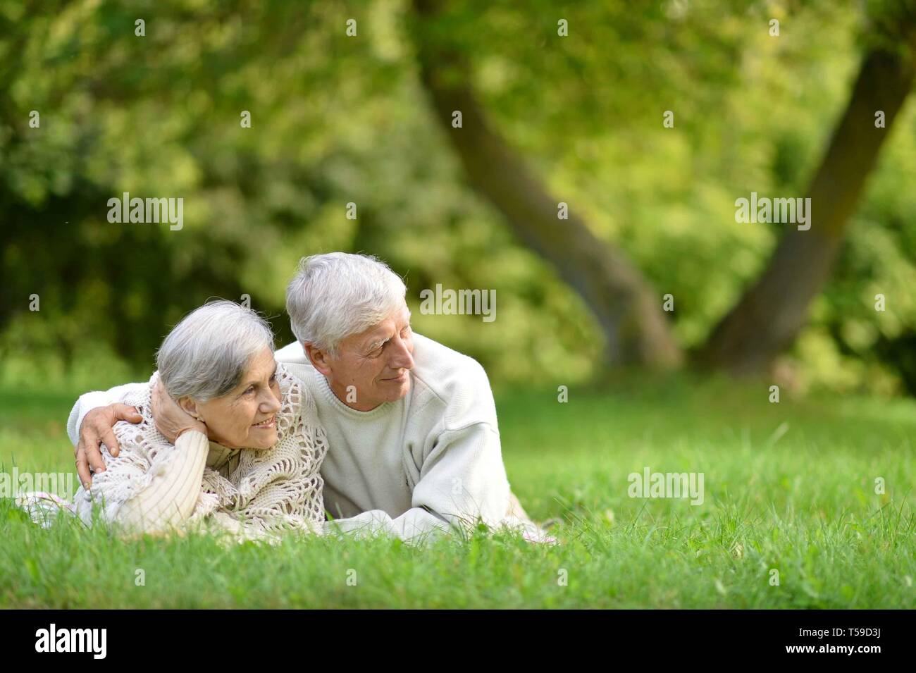 Ritratto di felice coppia senior giacente su erba verde in estate park Foto Stock