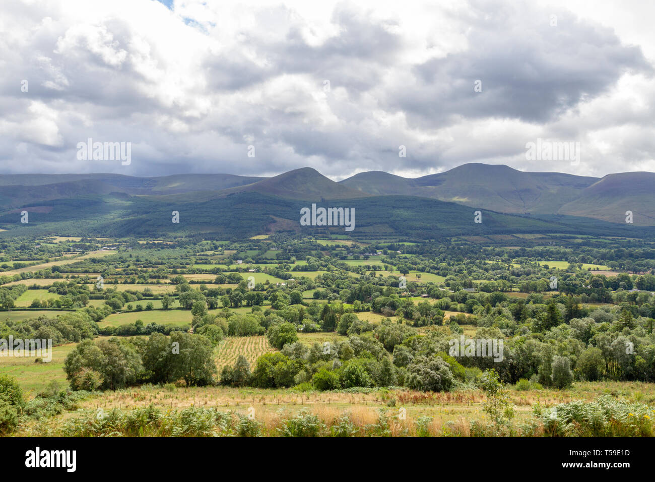 La splendida Glen of Aherlow, nella contea di Tipperary, Irlanda. Foto Stock
