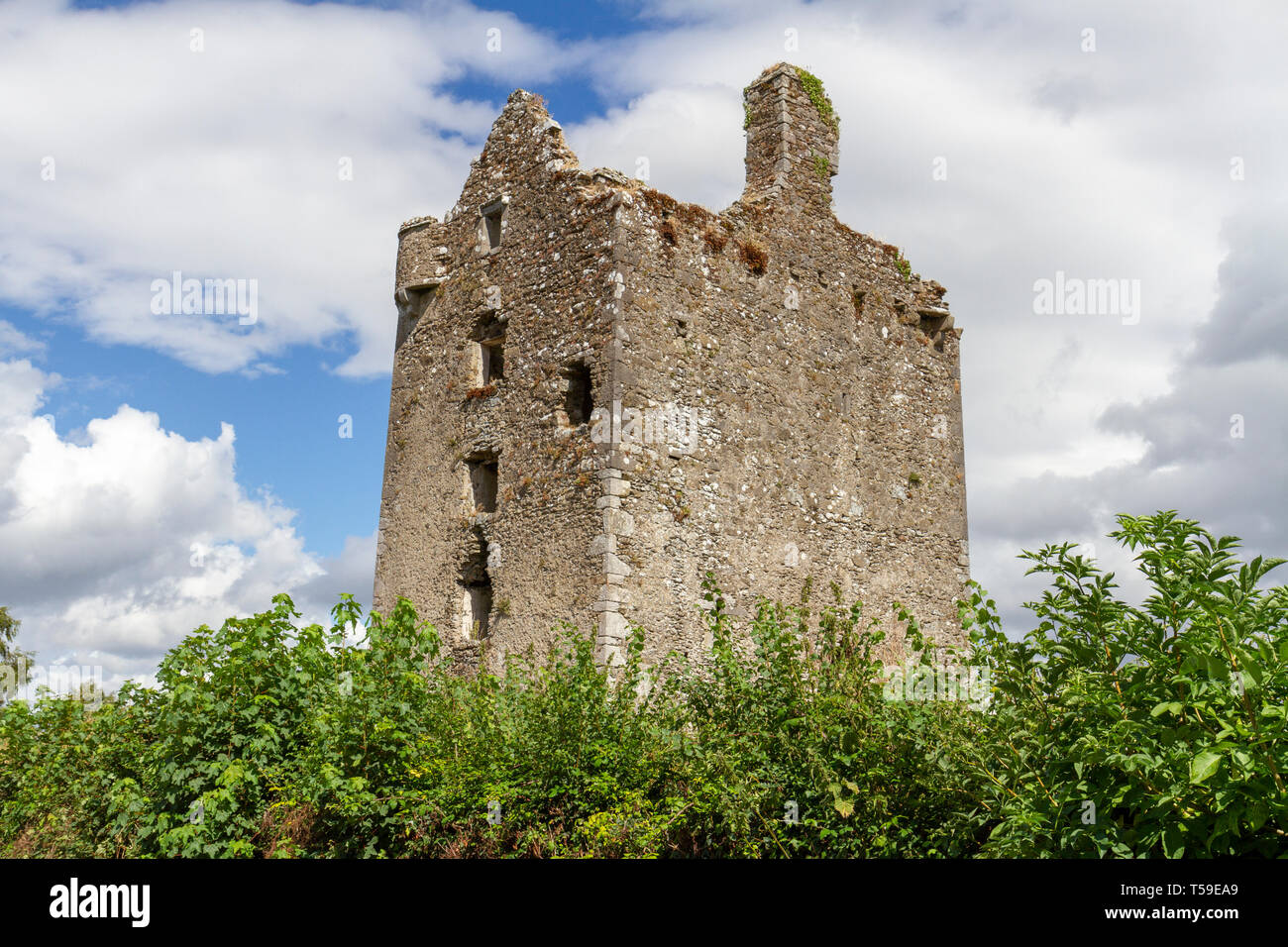 Tipico lato strada abbandonata la rovina il castello di Co Tipperary, Repubblica di Irlanda Foto Stock