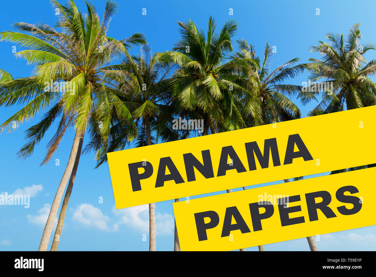 Carte di Panama 2016 documenti il concetto di perdita collage tropicale con palme e Panama documenti di testo. Foto Stock