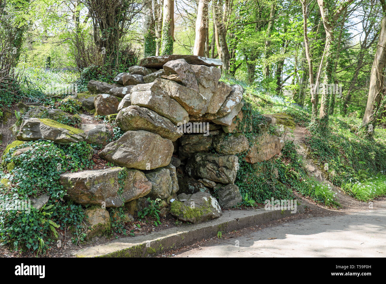 Grotta, Mount Edgcumbe Park Cornwall 2019 Pasqua. Foto Stock