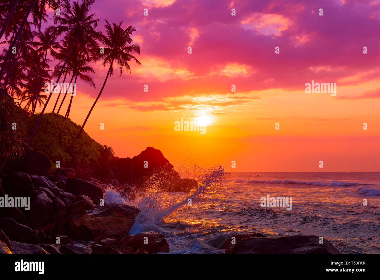 Spiaggia tropicale al tramonto con palme sagome e lucenti spruzzi delle onde Foto Stock