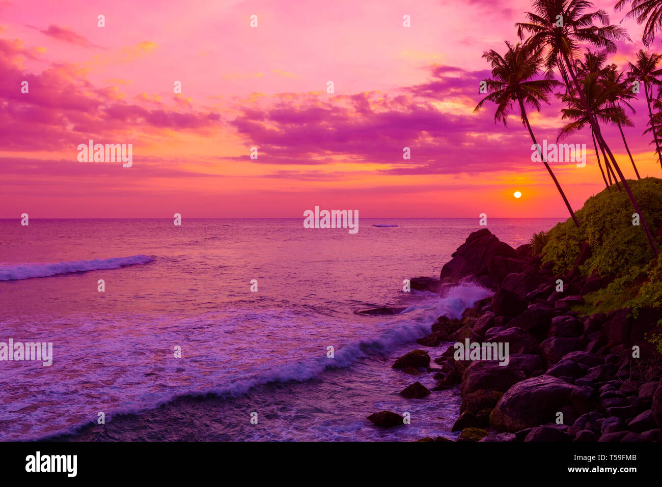 Caldo tropicale colorato tramonto sull'oceano con noce di cocco Palm tree sagome a tranquilla estate spiaggia su island resort Foto Stock