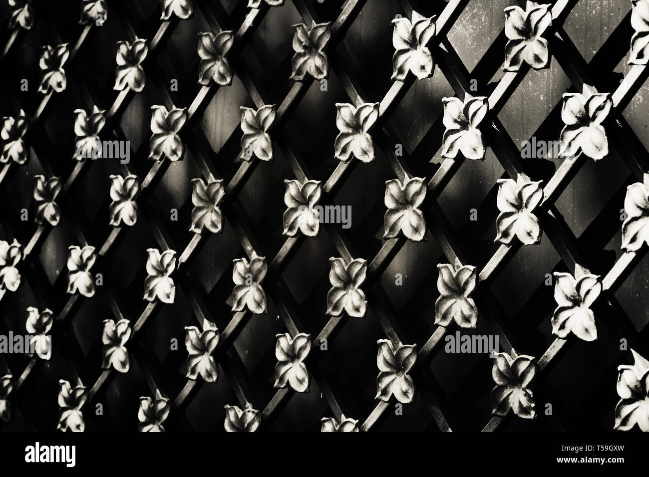 dettaglio antico bellissimo recinto metall. foto. sfondo astratto. nero. Foto Stock