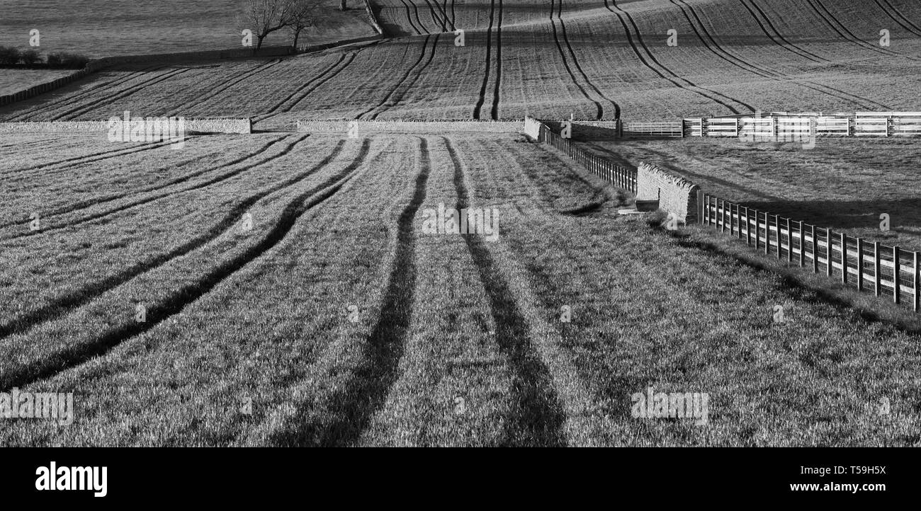 Agricoltura sulla fatturazione, Rawdon, Leeds Foto Stock