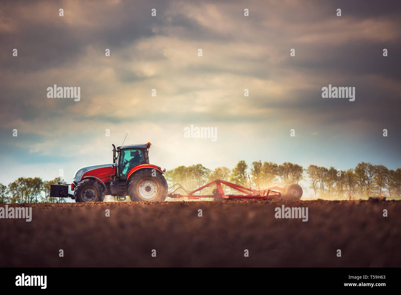 L'agricoltore nel trattore la preparazione di terra con il coltivatore del letto di semina Foto Stock