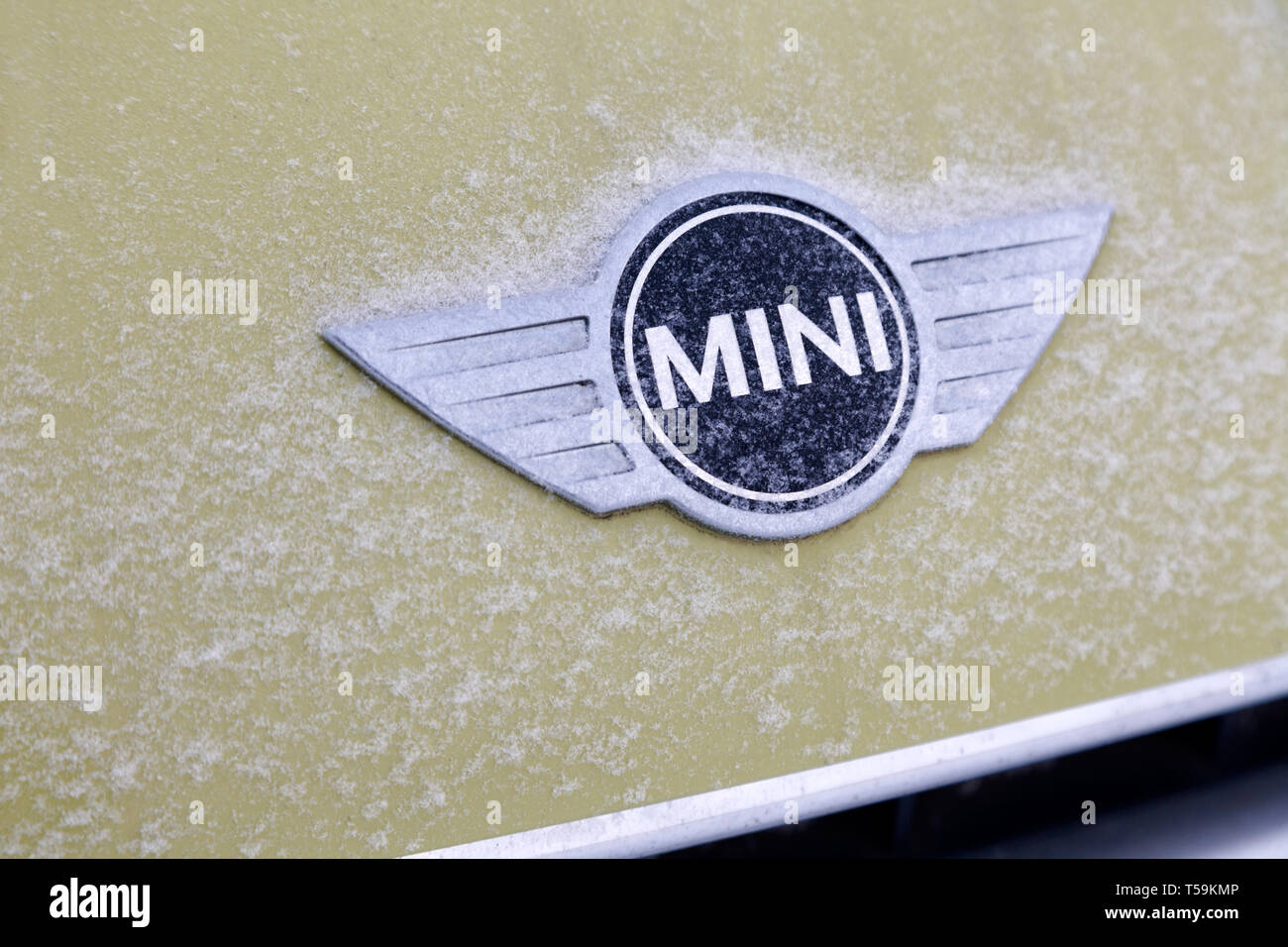 La Russia Kemerovo 2019-01-07 vista ravvicinata della Mini Cooper auto logo su giallo Mini Cooper auto coperto di neve Foto Stock