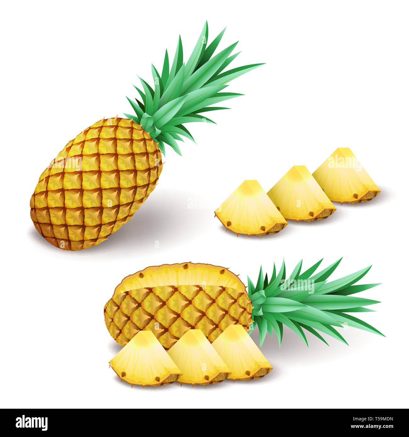 Luminose realistiche con ananas a fette, pezzi isolati su bianco Illustrazione Vettoriale