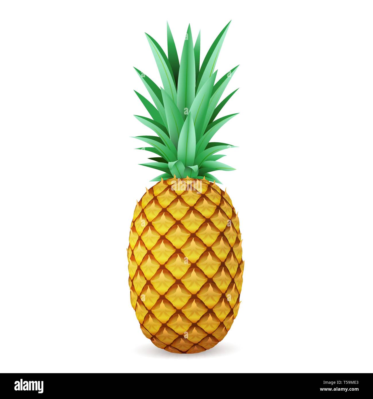 Luminose ananas realistico isolati su sfondo bianco Illustrazione Vettoriale