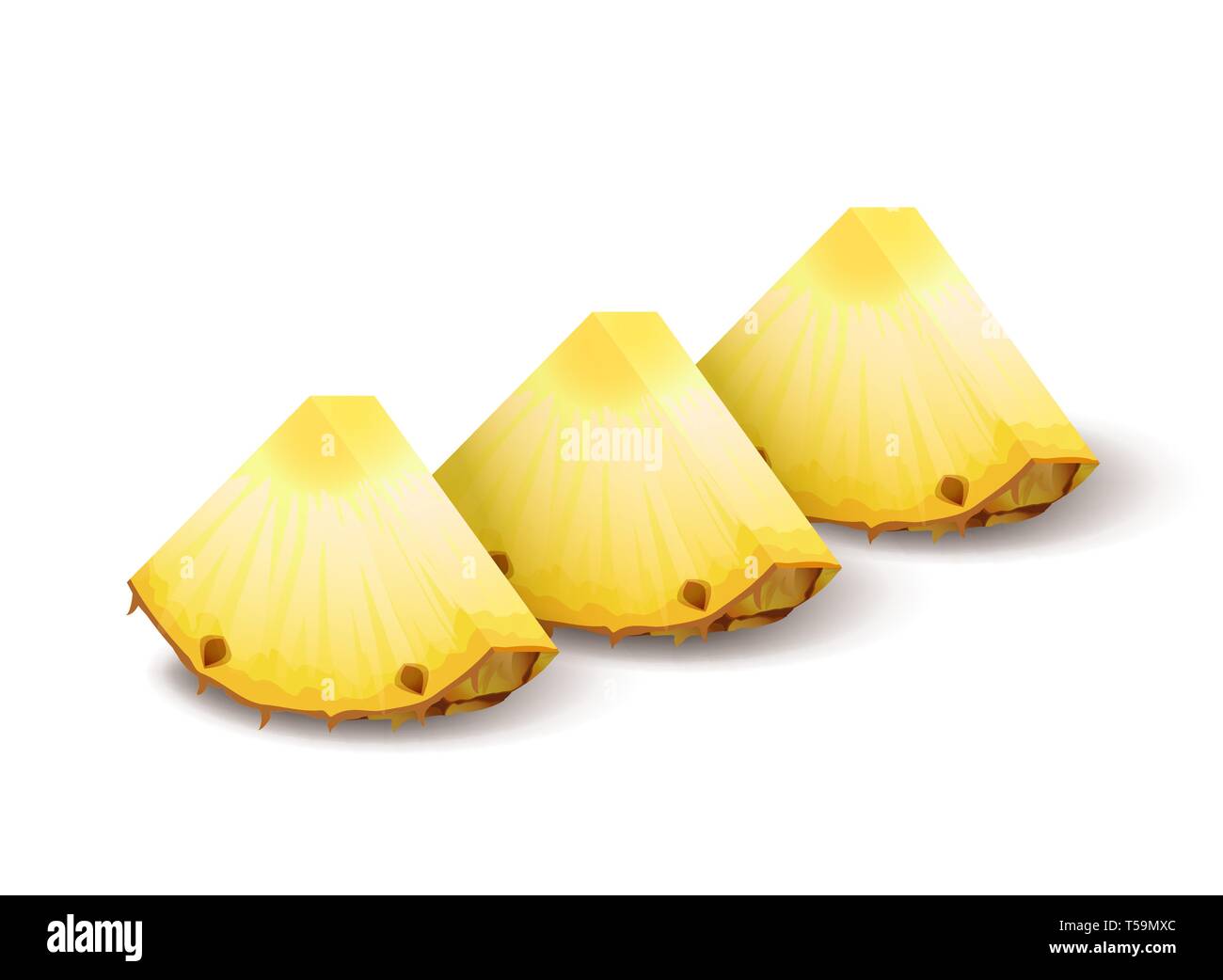 Luminose realistiche le fette di ananas, pezzi isolati su bianco Illustrazione Vettoriale