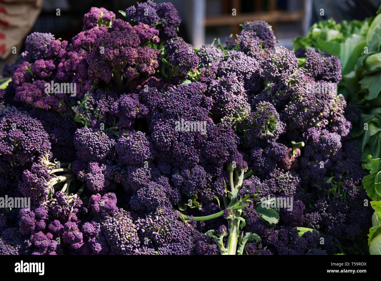 Viola germogliato di broccoli per la vendita su un mercato in stallo wells somerset, Regno Unito Foto Stock