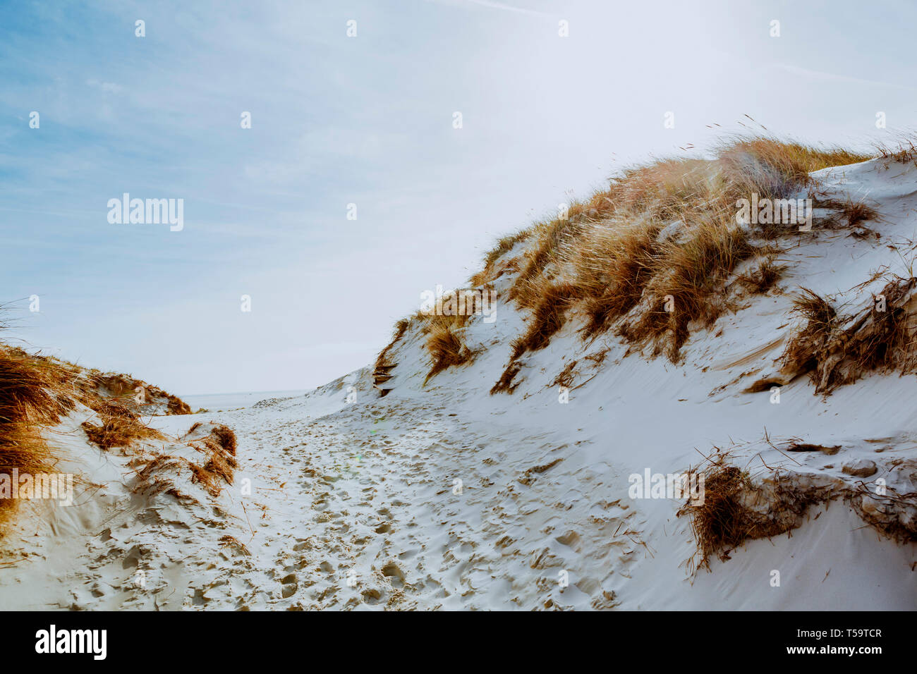 Il paesaggio luminoso di dune di sabbia bianca con il sentiero delle Orme, erba secca su collinette e il sole nel cielo in mare costa. Pittoresca vista dal basso angolo Foto Stock