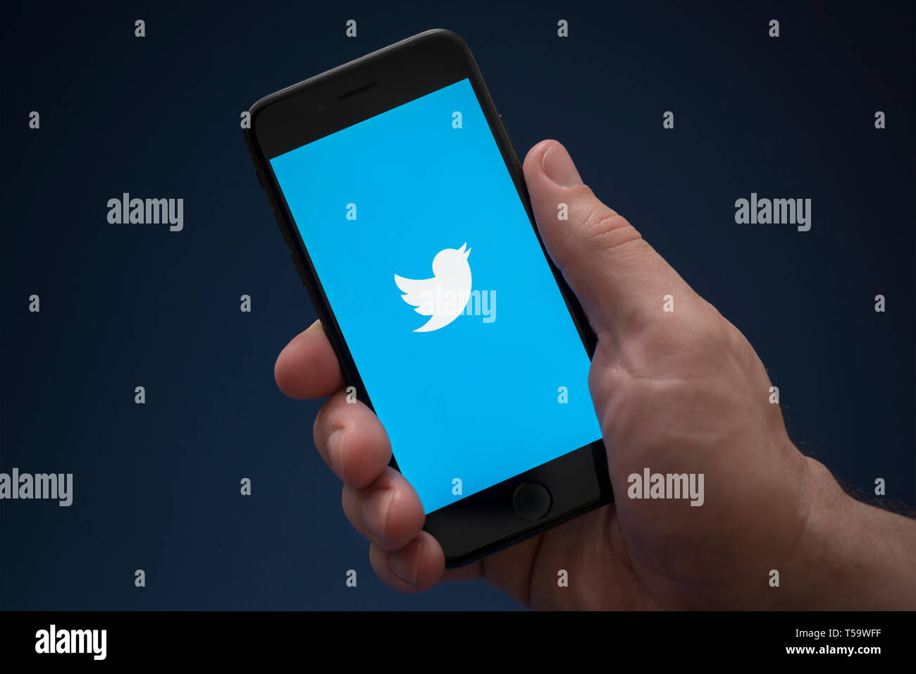 Un uomo guarda al suo iPhone che visualizza il logo Twitter (solo uso editoriale). Foto Stock