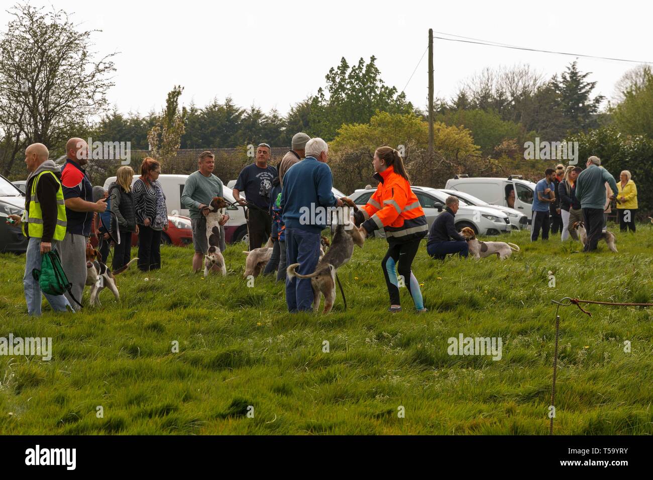 Cork, Irlanda, 22 Aprile, 2019. Lunedì di Pasqua trascinare Hunt, Killcully, sughero. Foto Stock