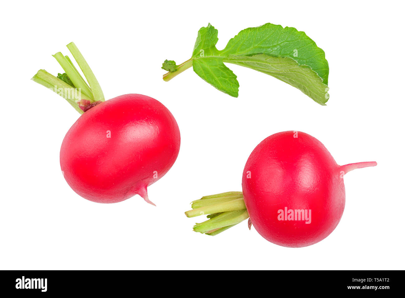 Fresco di ravanello intero isolato su sfondo bianco. Vista superiore Foto Stock