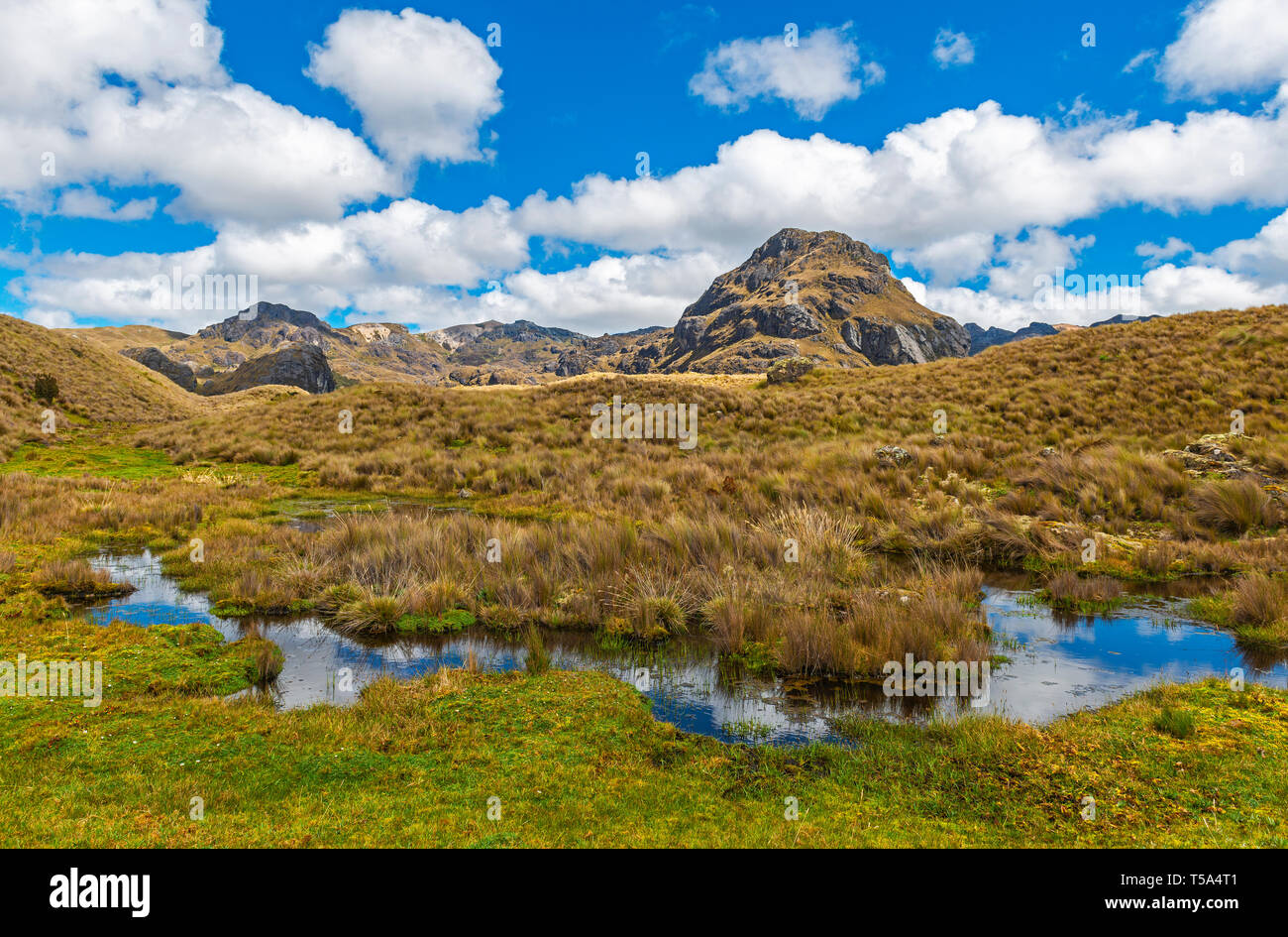 Fotografia paesaggio di paludi e lagune e la catena delle Ande all'interno del Parco Nazionale Cajas vicino alla città di Cuenca, Ecuador. Foto Stock