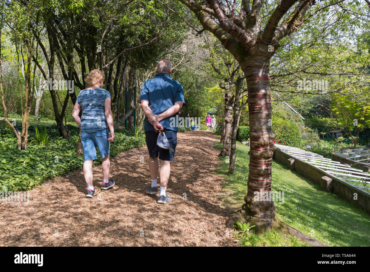 Coppia di mezza età da dietro, camminando lungo un percorso in una calda giornata di primavera a Highdown giardini, Goring-By-Mare, West Sussex, in Inghilterra, Regno Unito. Foto Stock