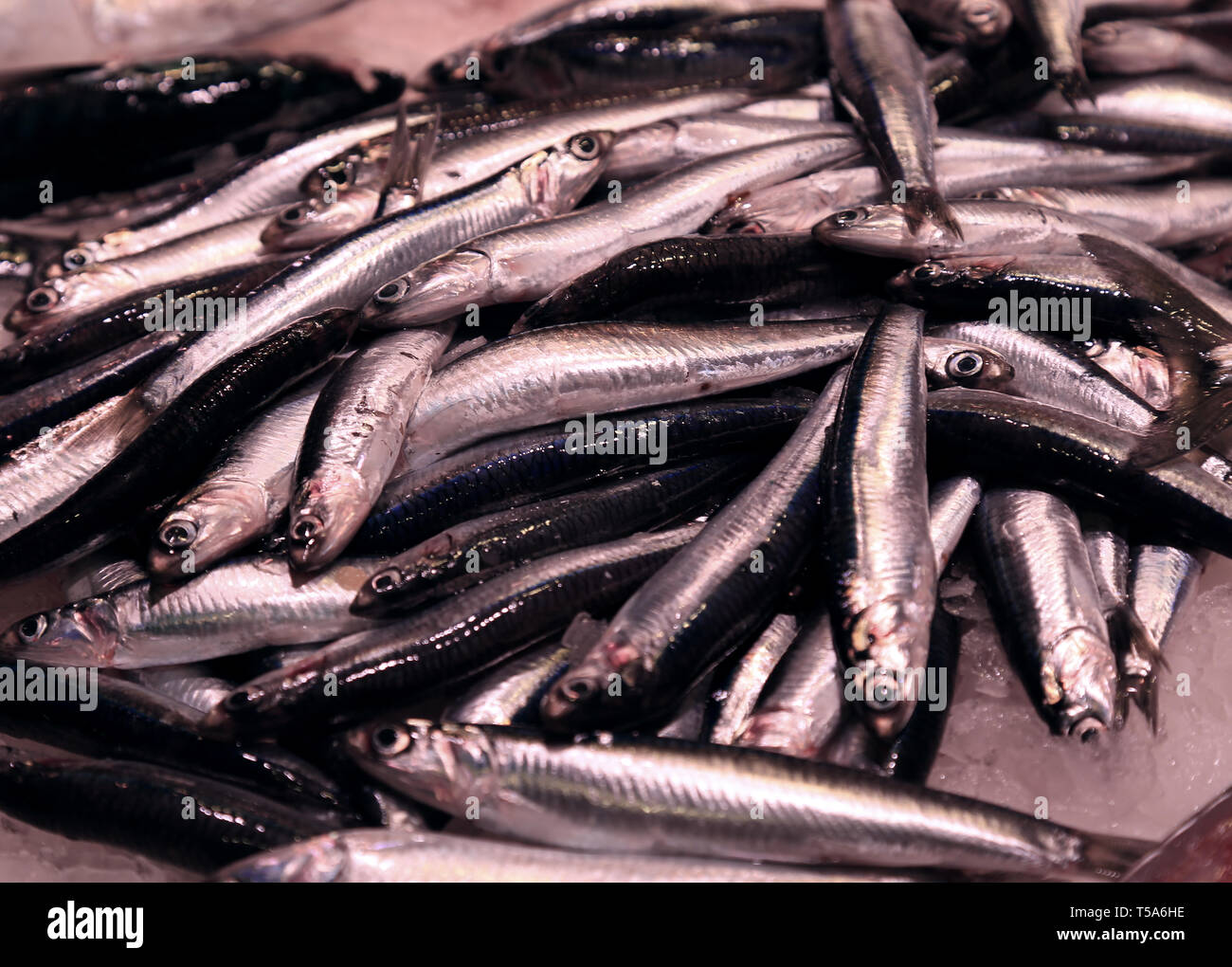 Fresco mare piccole sardine su ghiaccio in strada città di mercato Foto Stock